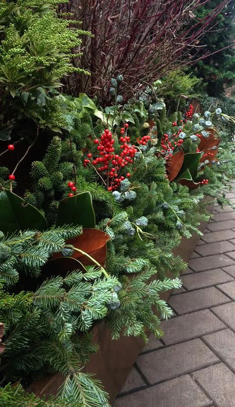 winter arrangements.jpg