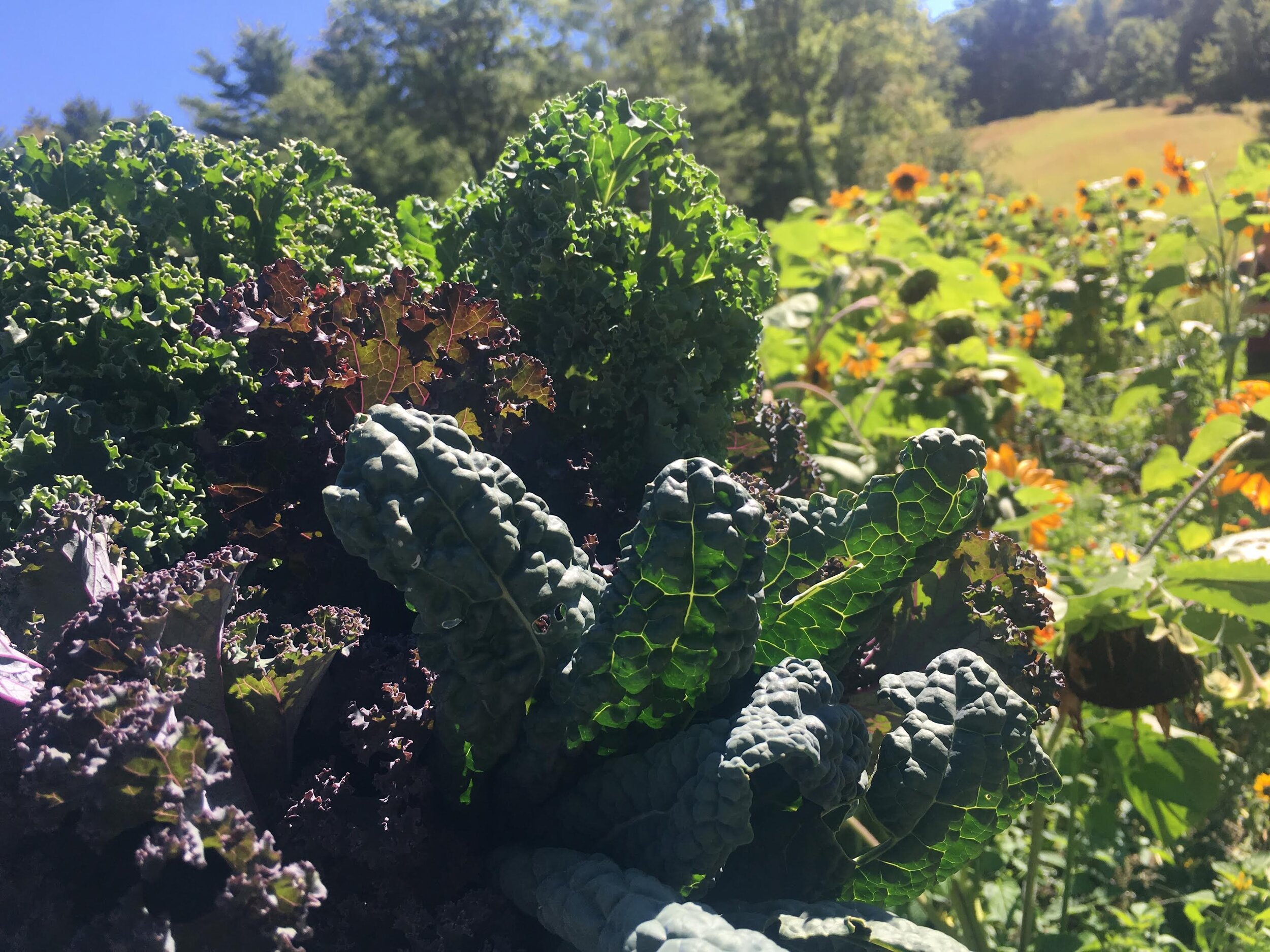 1-15.jpg