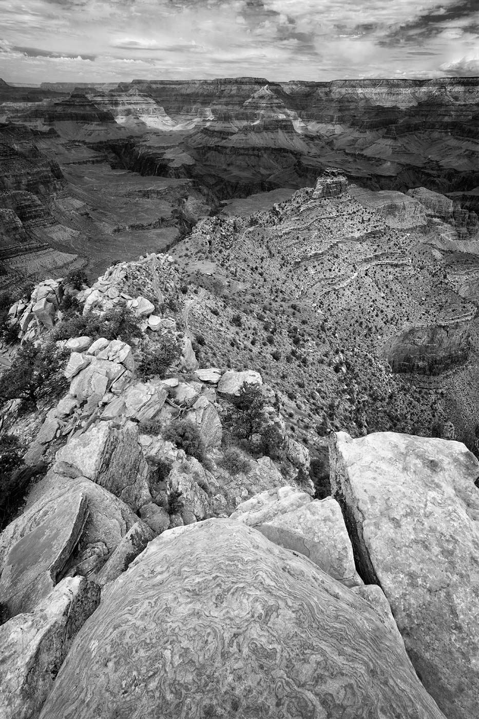 Grand-Canyon-National-Park-ABP-Cedar-Ridge_black-and-white.jpg
