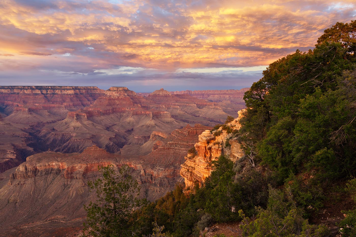 Grand-Canyon-National-Park-ABP-Yaki-Point-sunset-trees.jpg