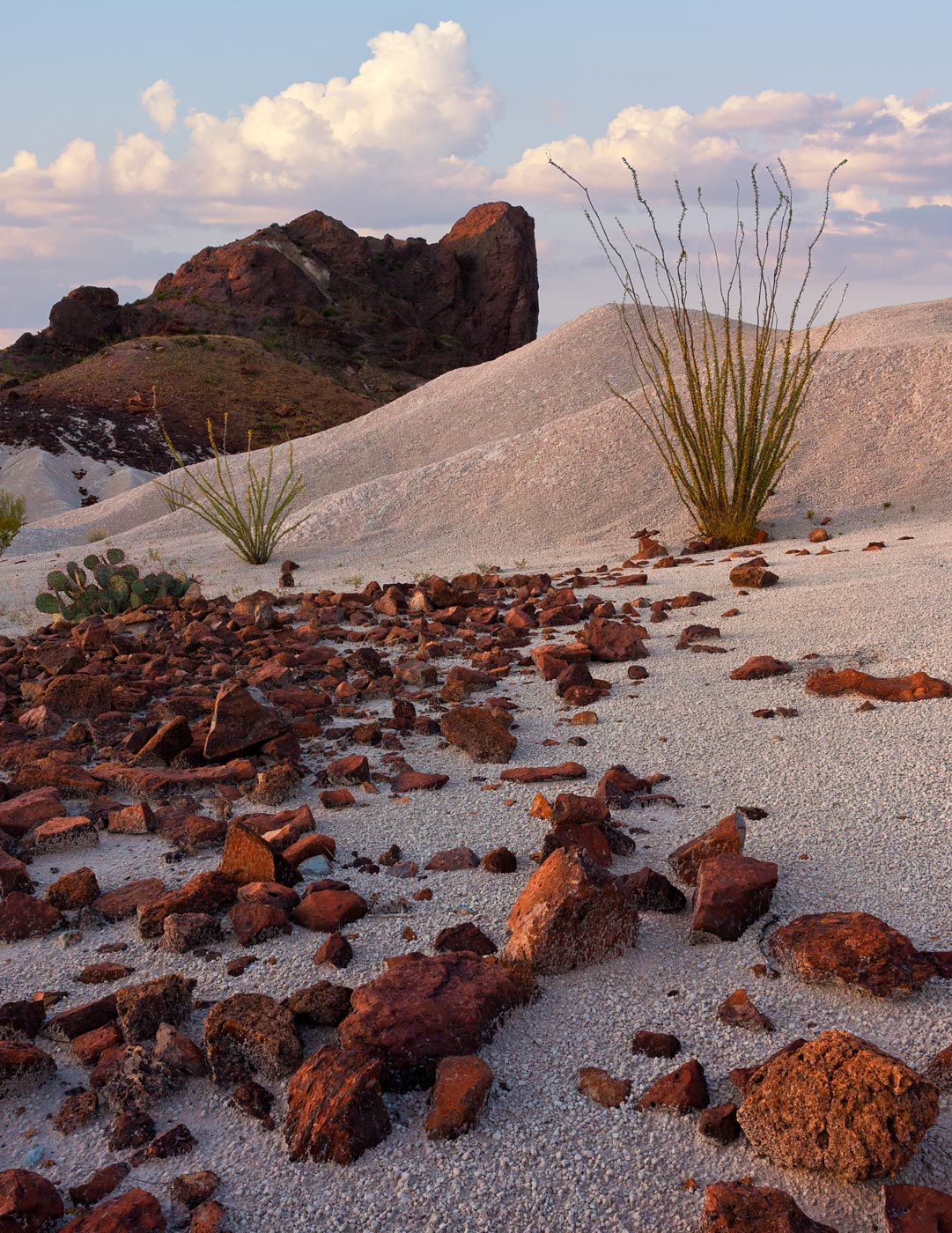 Big-Bend-National-Park-ABP-Cerro-Castellan_sunset.jpg