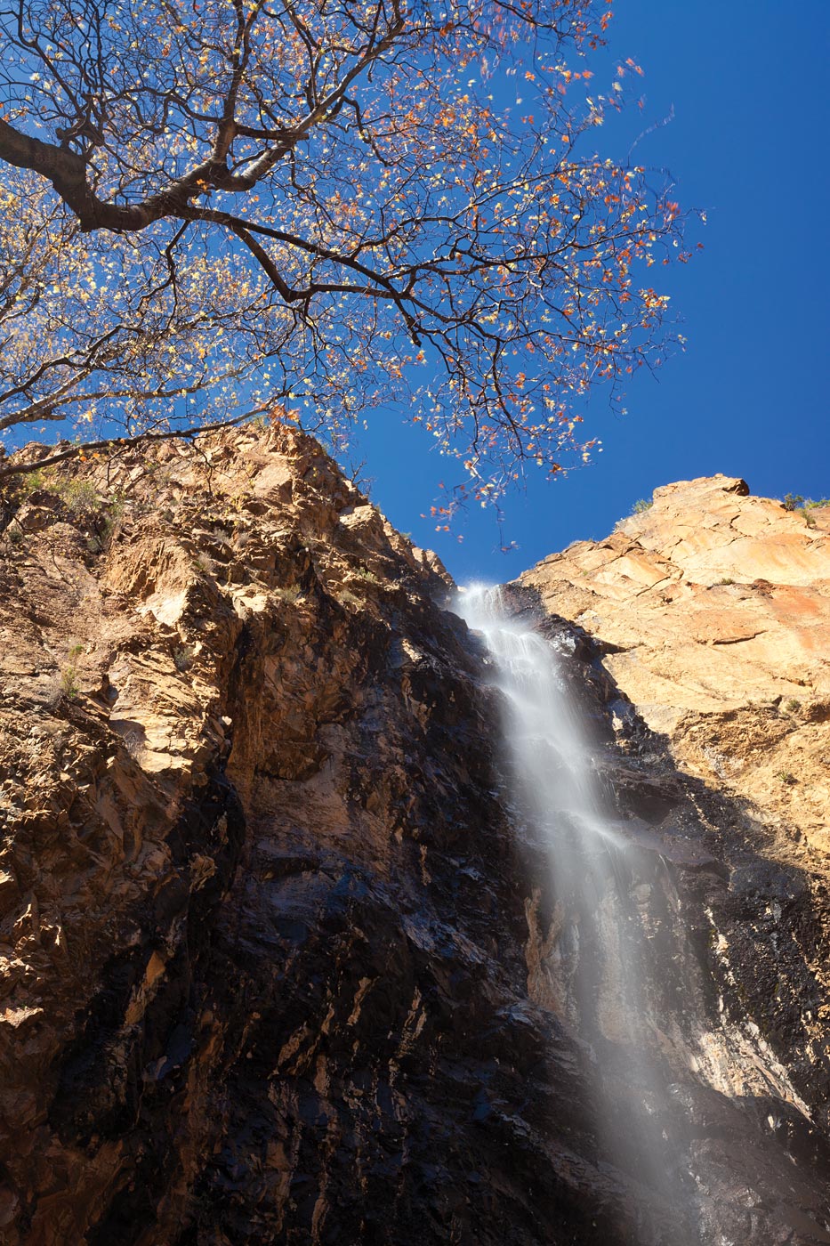 Big-Bend-National-Park-ABP-Pine-Canyon-Pour-off.jpg