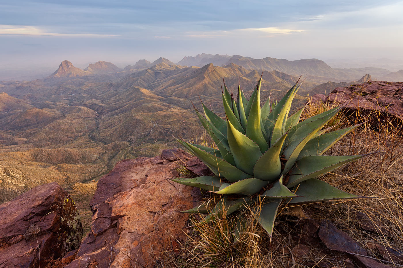 Big-Bend-National-Park-ABP-South-Rim_agave.jpg