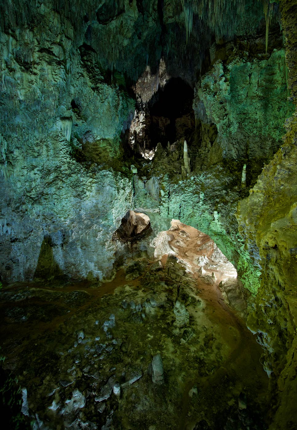 Carlsbad-Caverns-National-Park-ABP-Lower-Cave.jpg