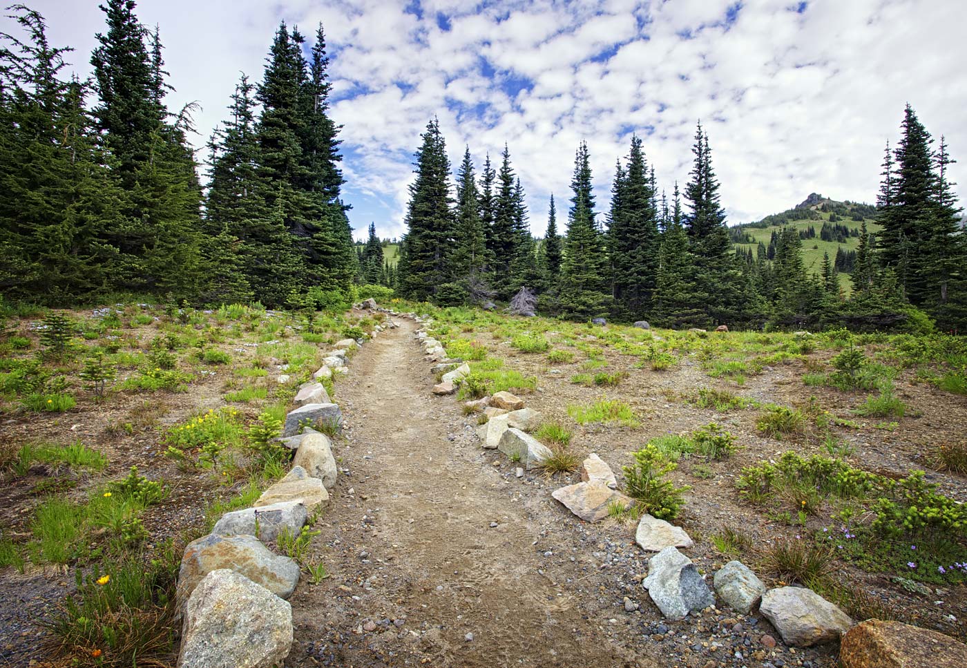 Mount-Rainier-National-Park-ABP-Emmons-Trail.jpg