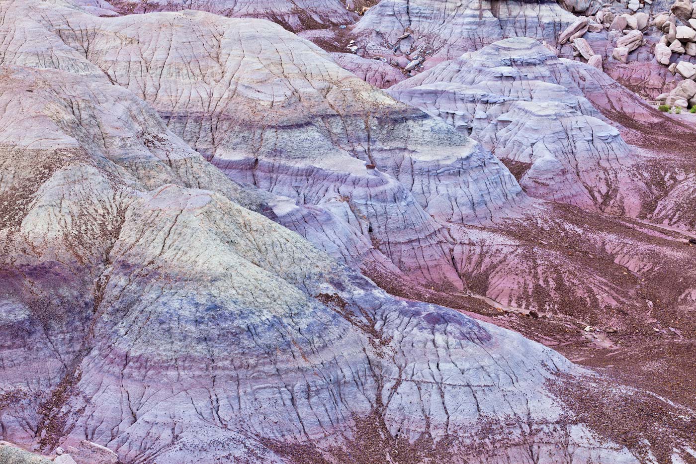 Petrified-Forest-National-Park-ABP-Blue-Mesa.jpg