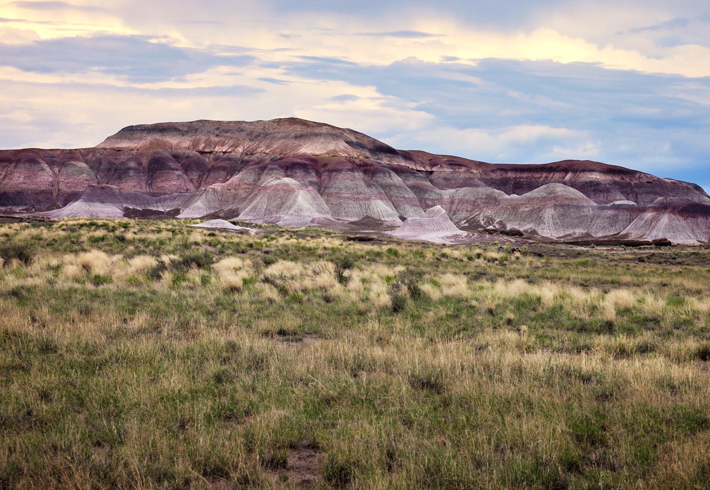 Petrified-Forest-National-Park-ABP-Grassland_Strata.jpg