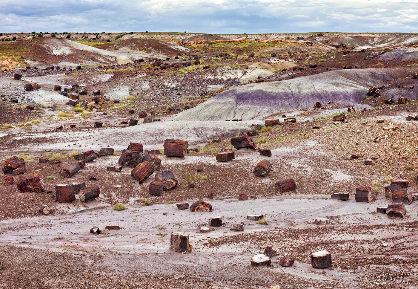 Petrified-Forest-National-Park-ABP-Crystal-Forest.jpg