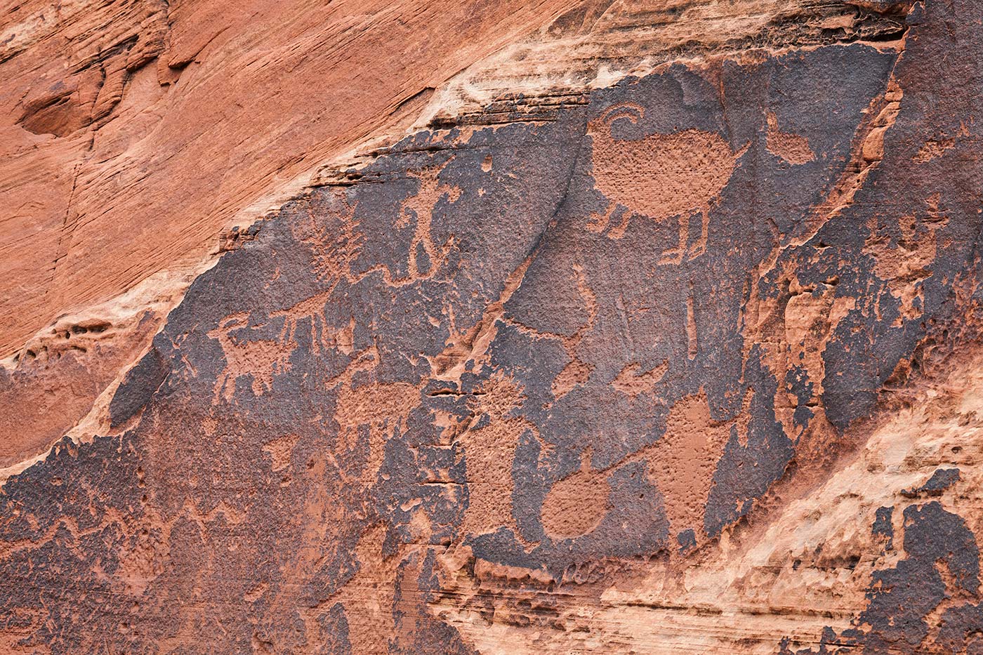 Ancient-Cultures_ABP_Petroglyphs_Potash2.jpg