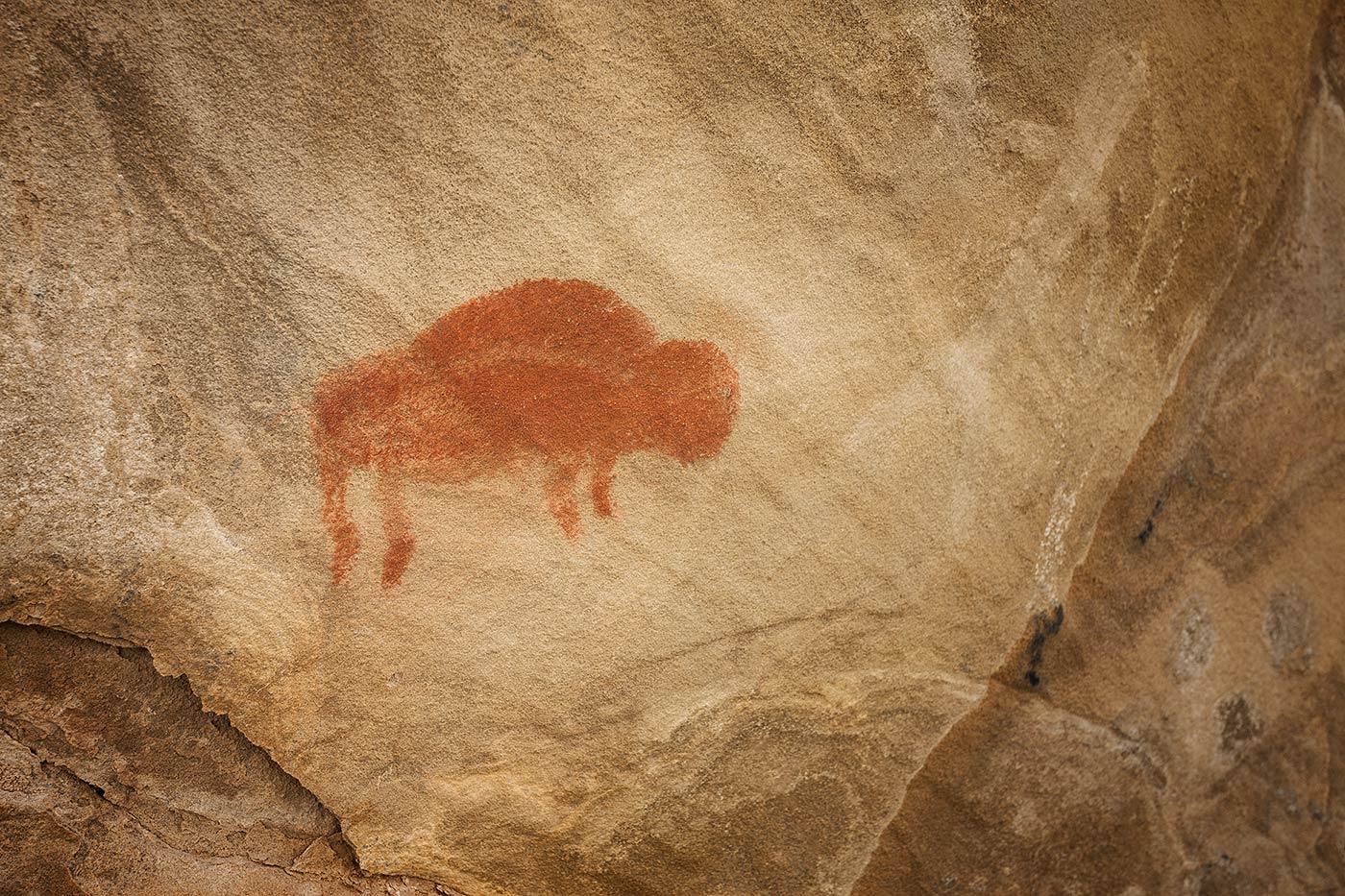 Ancient-Cultures_ABP_Red-Bison-Pictograph_detail2.jpg