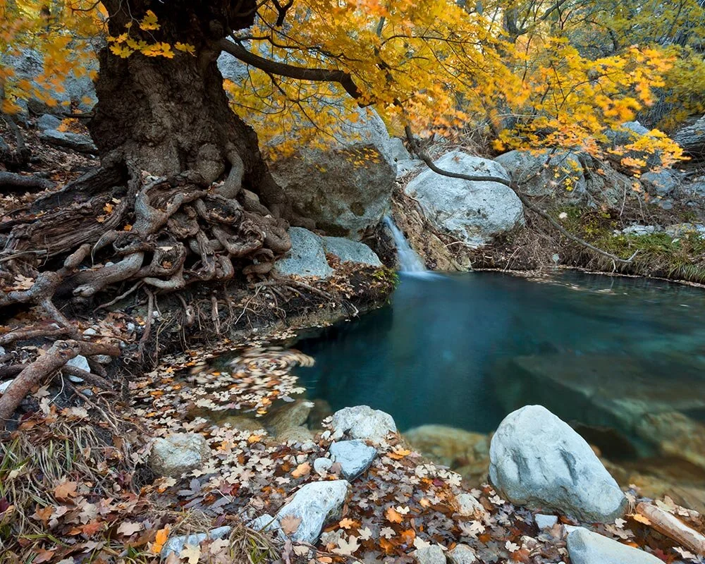 Smith-Spring-Fall-Color.jpg