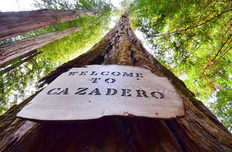 Episode 5 Sounds from California Brazil Camp