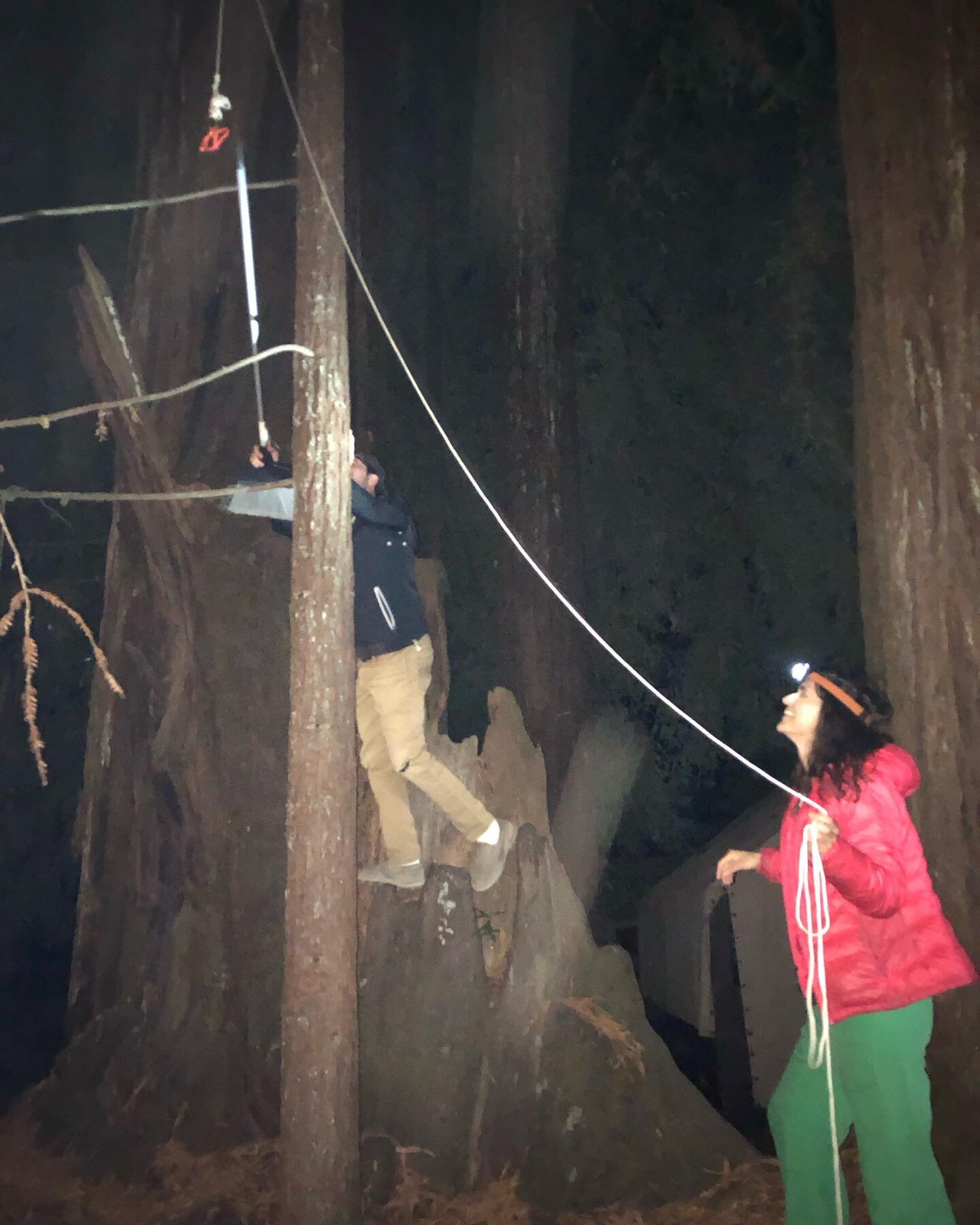 Always have tall friends around when hanging a disco ball up in the Redwoods! #tbt #TheBrazilianBeatDiscoParty #thebrazilianbeatpodcast #calbrazilcamp