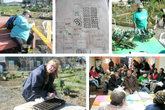 Top Left: Linda painting community plot sign; Top Middle: Map of community designed Unthank Eilliot Garden site; Top Right: Community harvest from Seeds of Harmony Garden; Bottom Left: Barbara leading seeding training; Bottom Right: Seeds of Harmony community-led gardener meeting. 