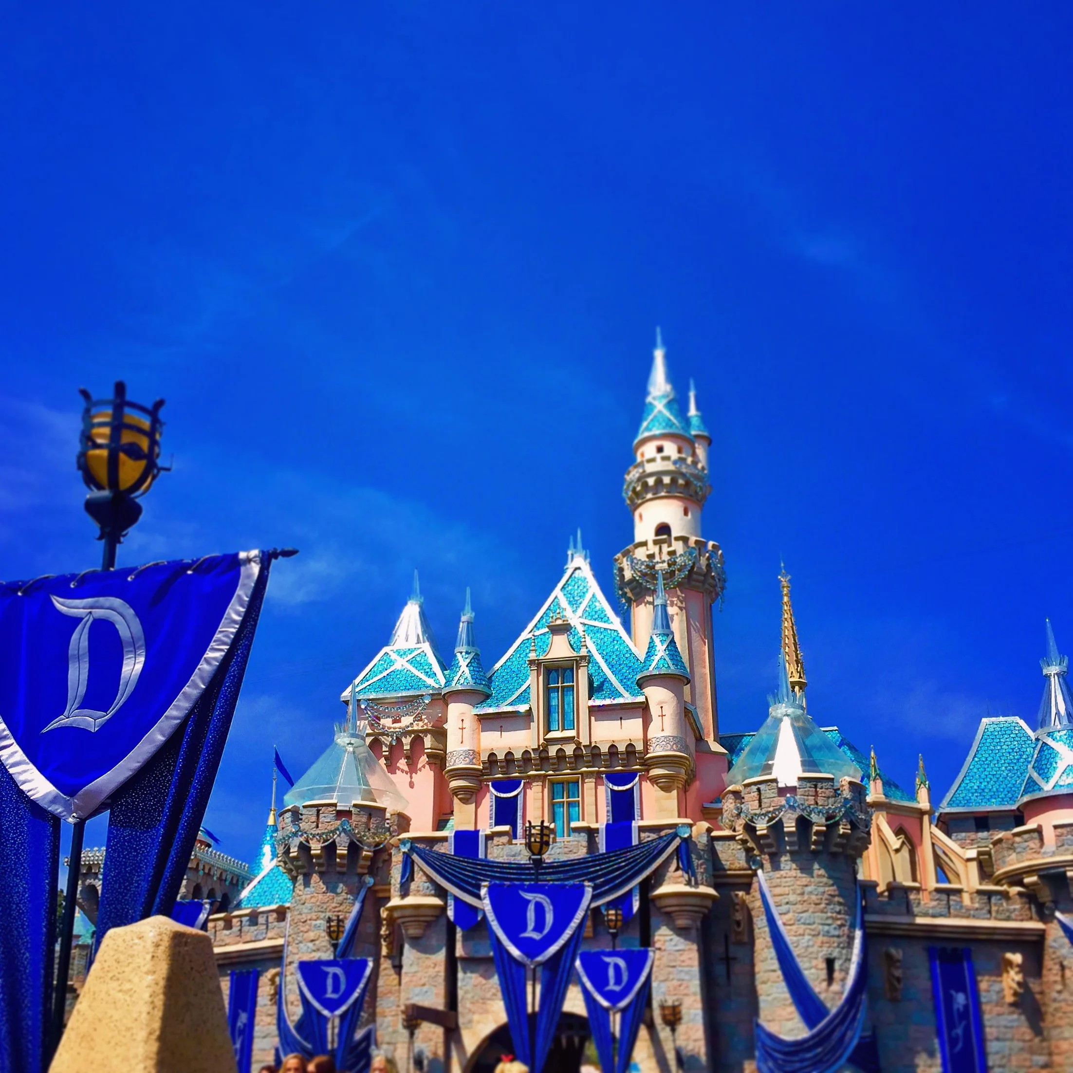 "Growing old is mandatory. Growing up is optional." -Walt Disney