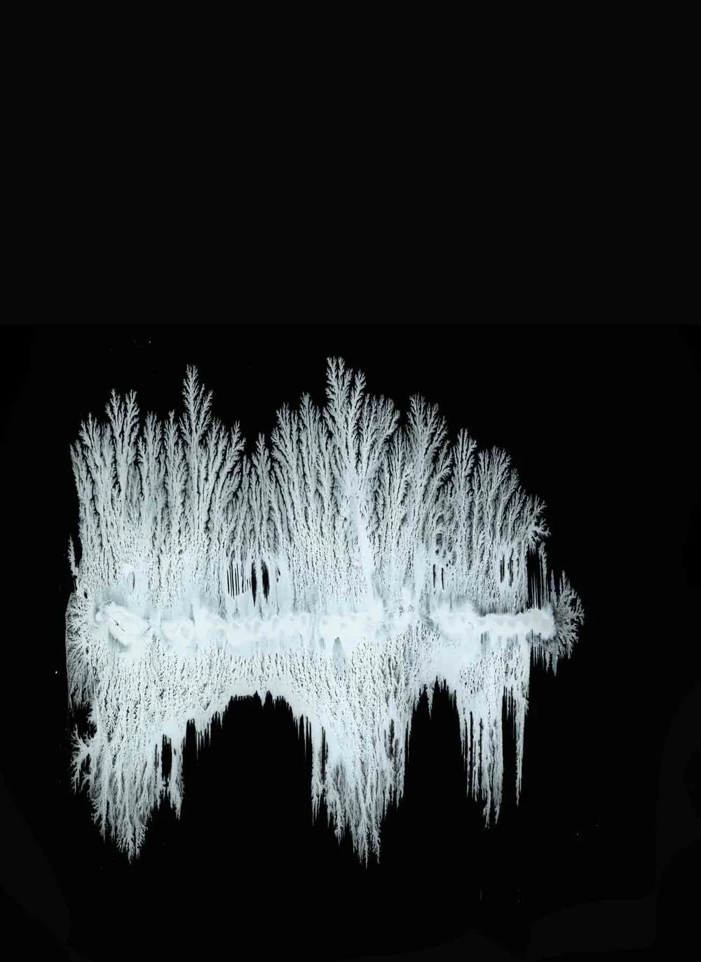 web;l.xd.lxlfv copy.jpg