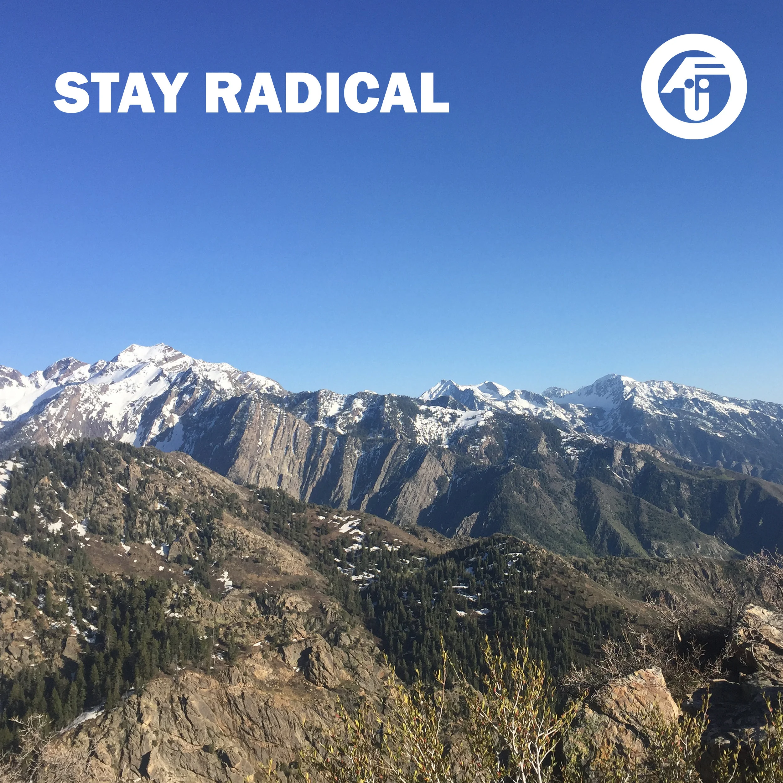 asmuth t-shirt stay radical.jpg