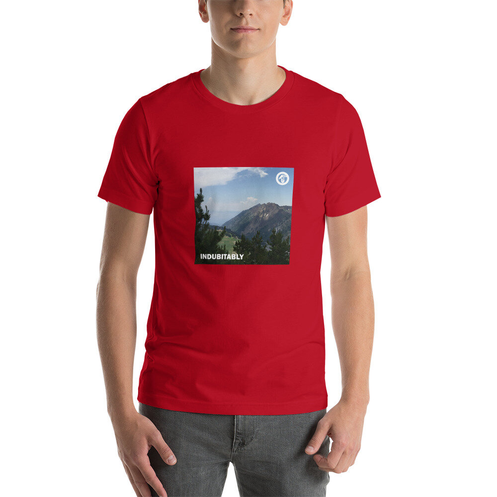 unisex-premium-t-shirt-red-front-60cdd904750d6.jpg