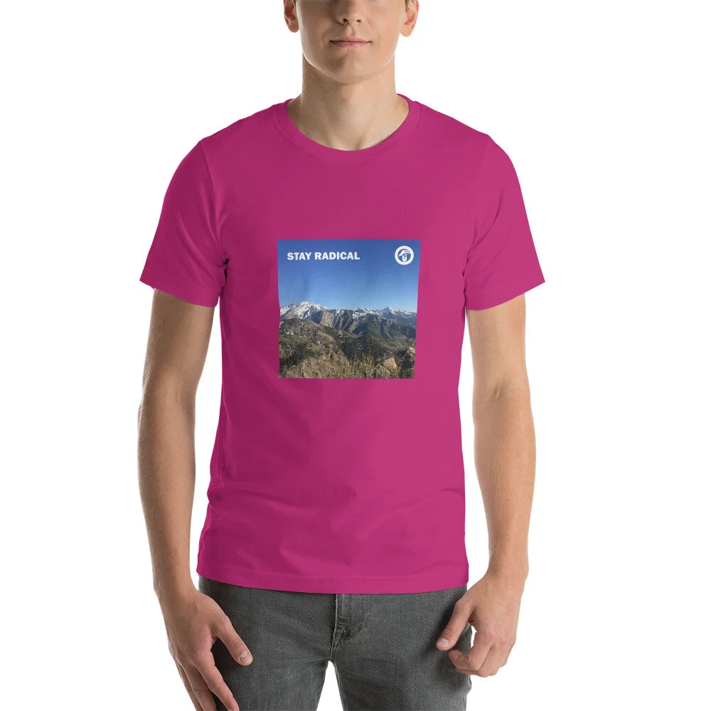unisex-premium-t-shirt-berry-front-60cdd9d50473a.jpg