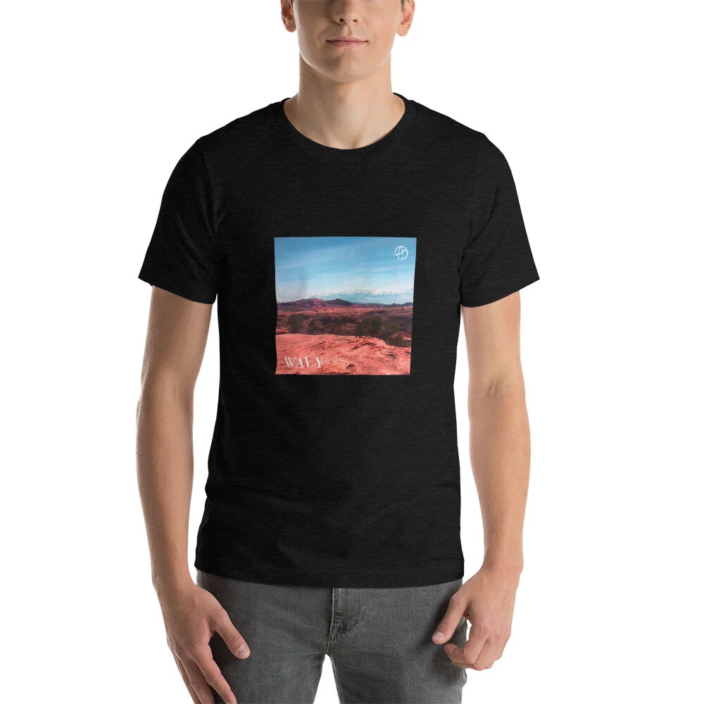 unisex-premium-t-shirt-black-heather-front-60d15e66e85b5.jpg