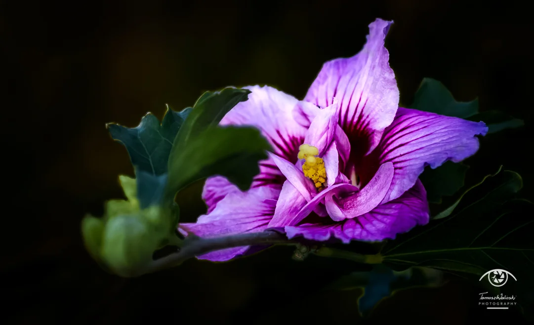 _WP_0164.jpg