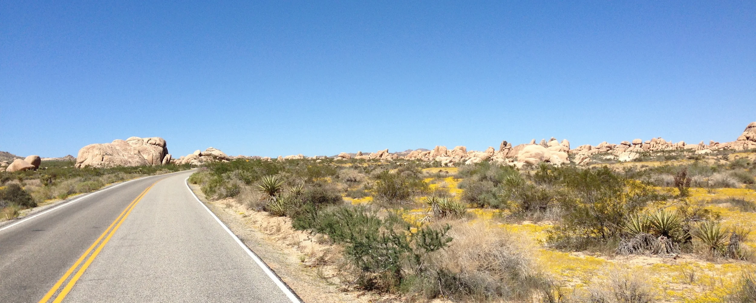 Vegetation Change