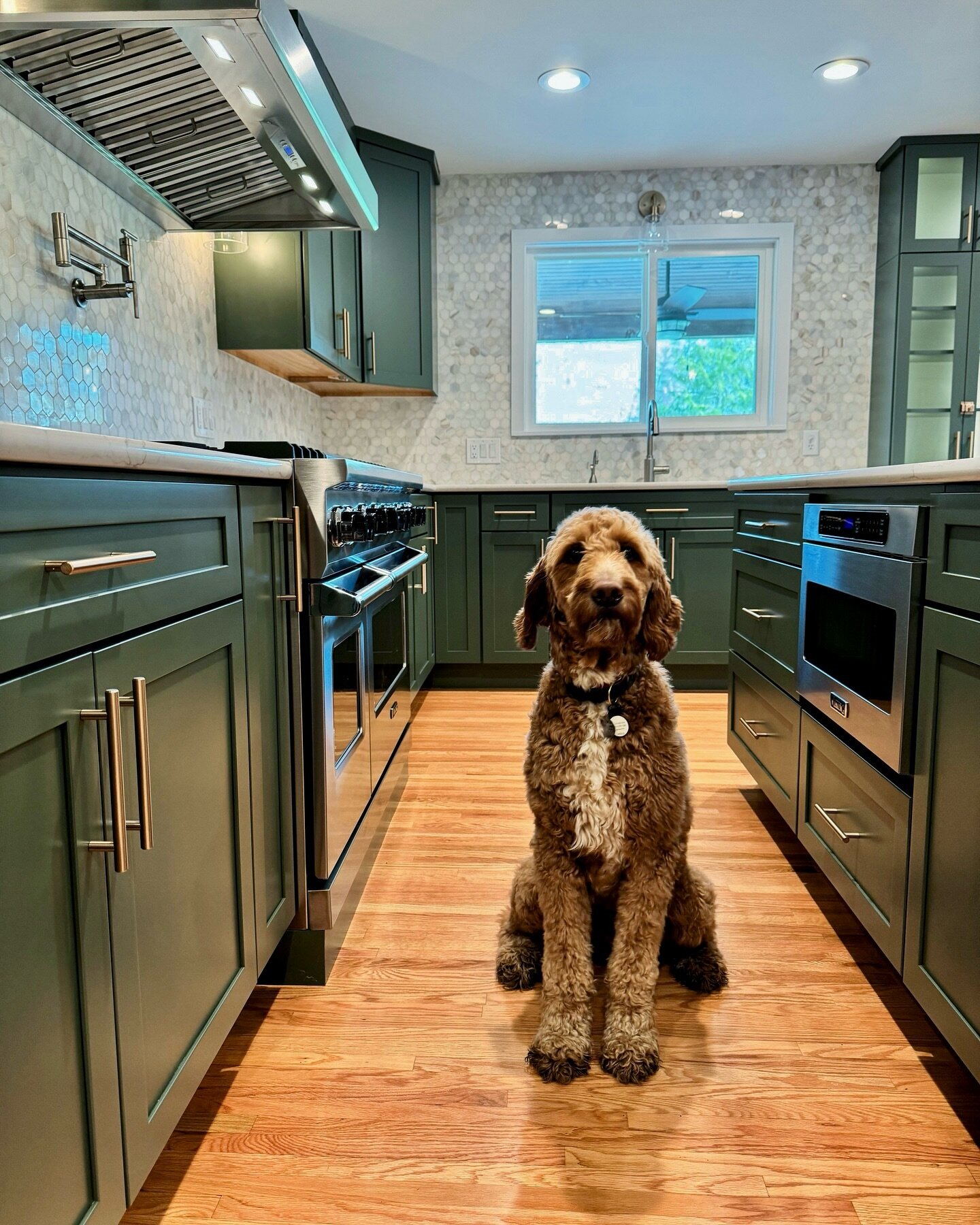 After months of construction on a full house remodel and addition in Frontenac, we&rsquo;re excited to be wrapped up&hellip;but we&rsquo;re really going to miss Jerry! #kitchendesign #dogsofinstagram