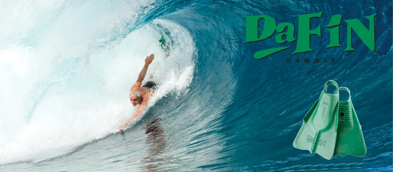 DaFin Web banner 2.jpg