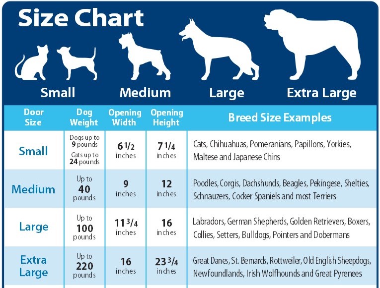 Medium Sized Dog Weight Chart