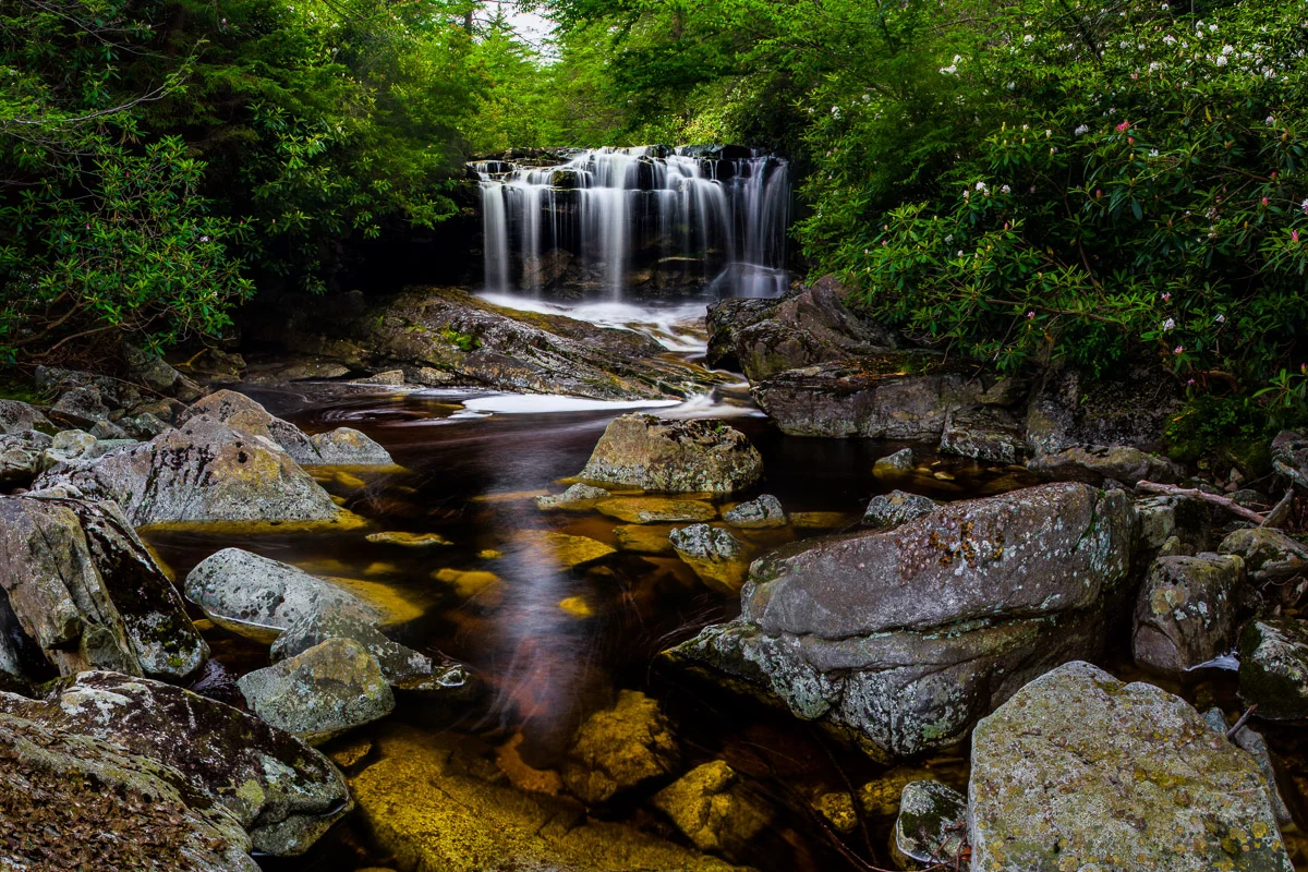 Waterfalls — Samuel Taylor Photography