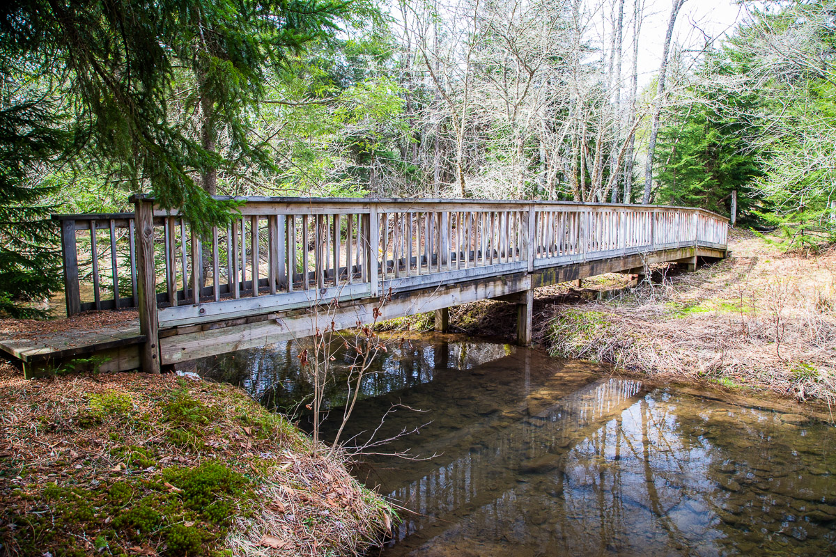 Footbridge over Glady Fork