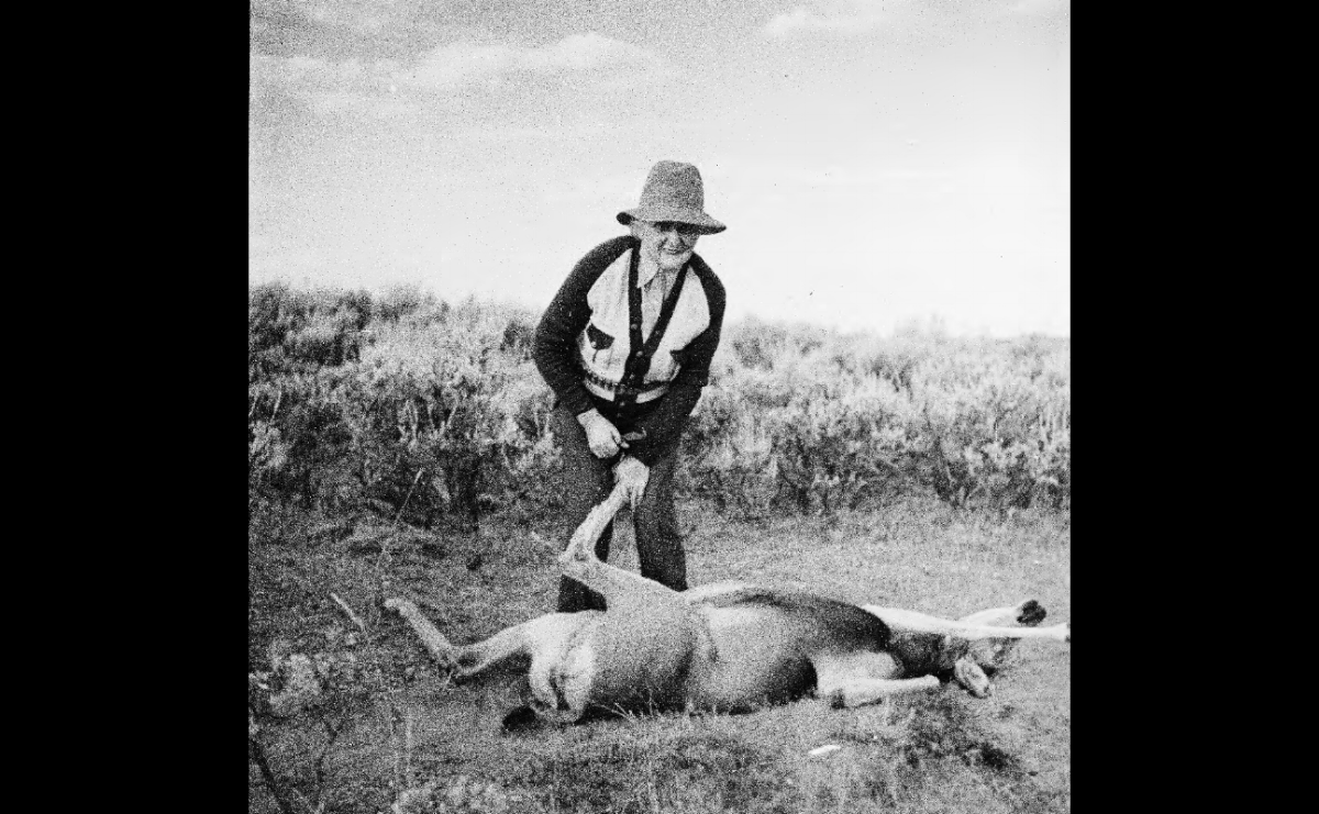 Josie and deer.png