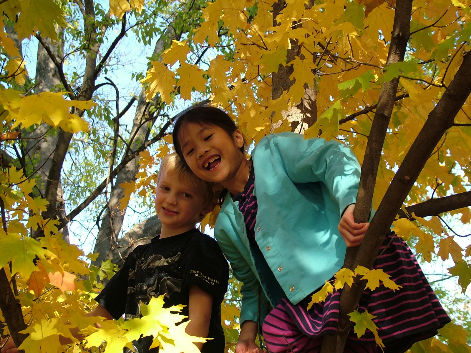 sisters-1308742.jpg