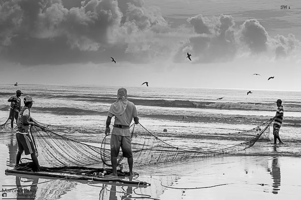 This picture was taken in January 2016 at 5:10 am, in the Northeast of Brazil. The Fishermen wake up early every day hoping for a good fishing. Entire families go to the beach to catch the food of the day and extra fishes for selling. In this picture I got the exact moment the fishing net arrives at the shore and the fishermen are anxious to check what came inside.