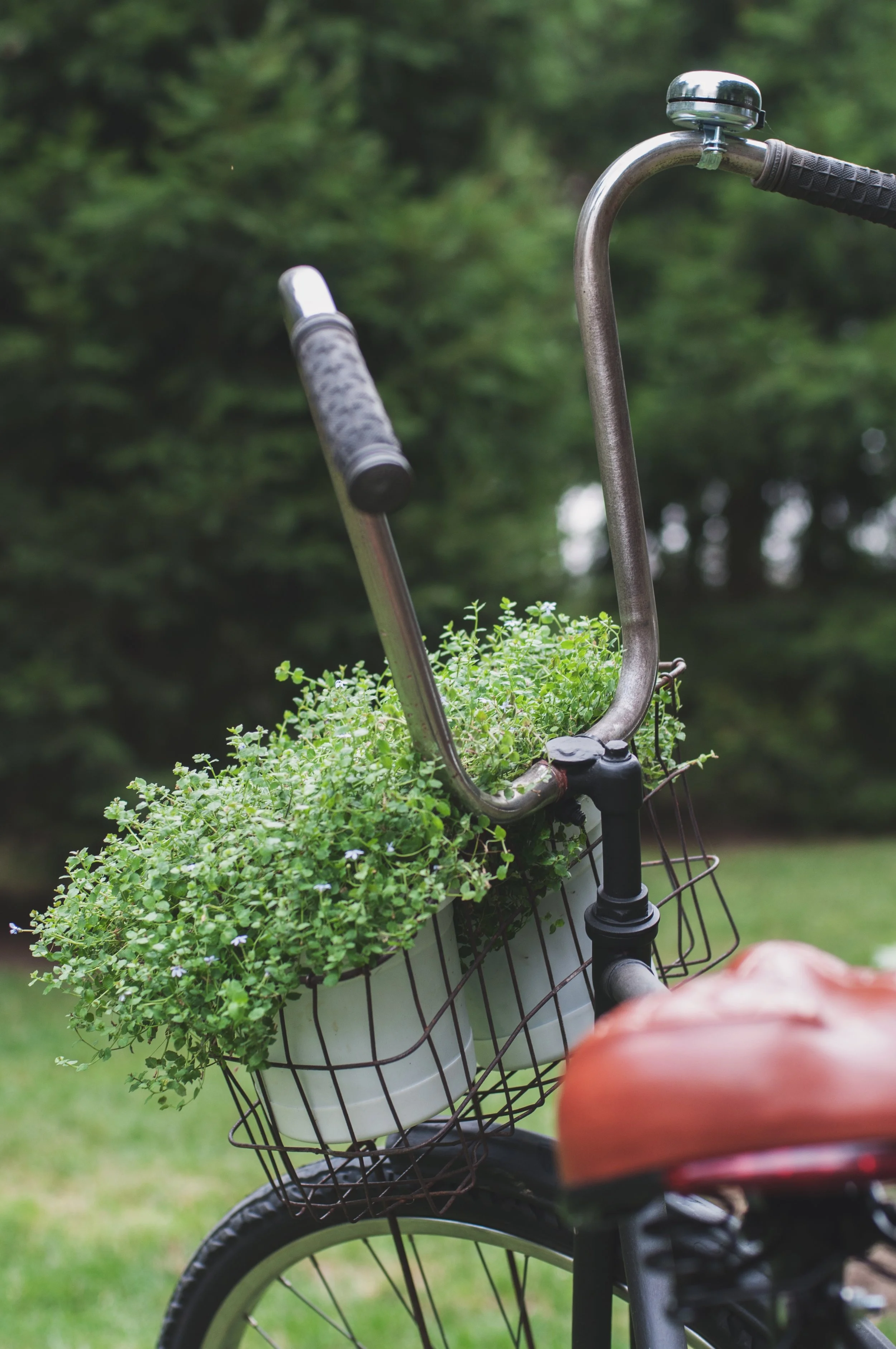 Eco-Friendly Tips on a Minimalist Journey
