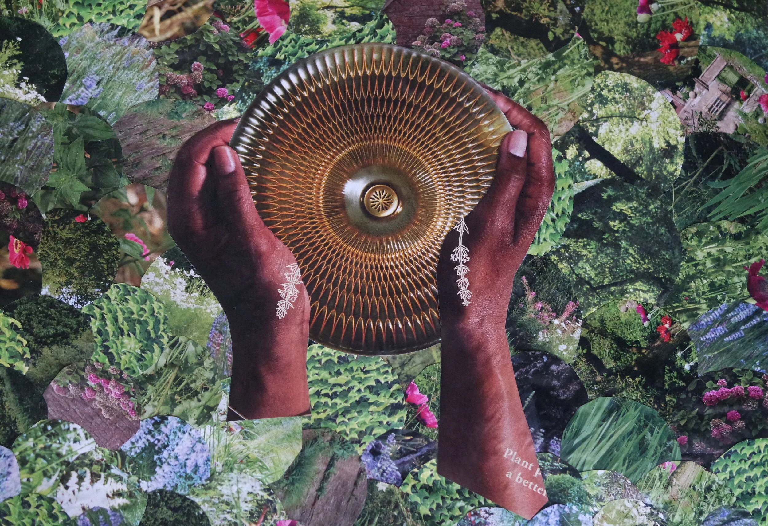 Embracing the Sun/Ace of Pentacles