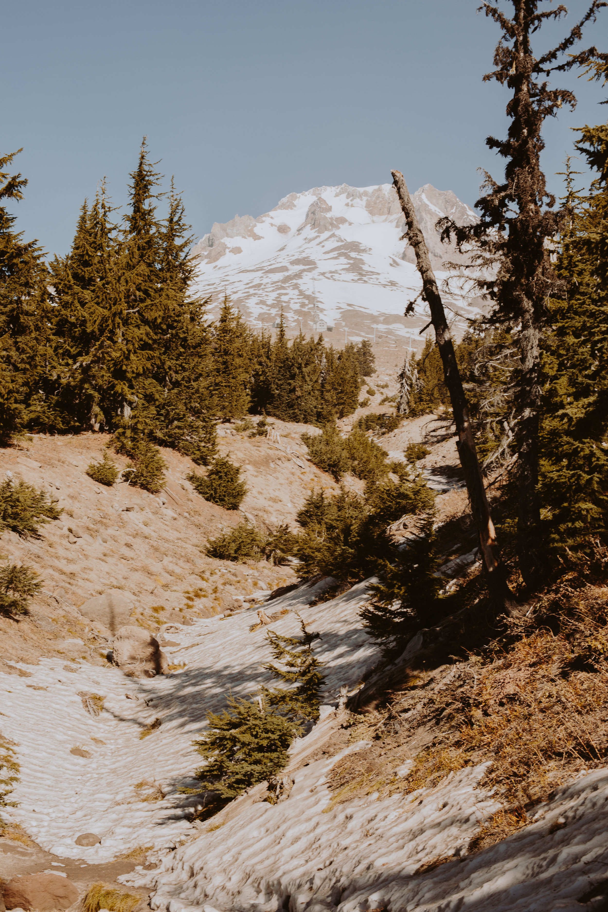 PDX-75.jpg