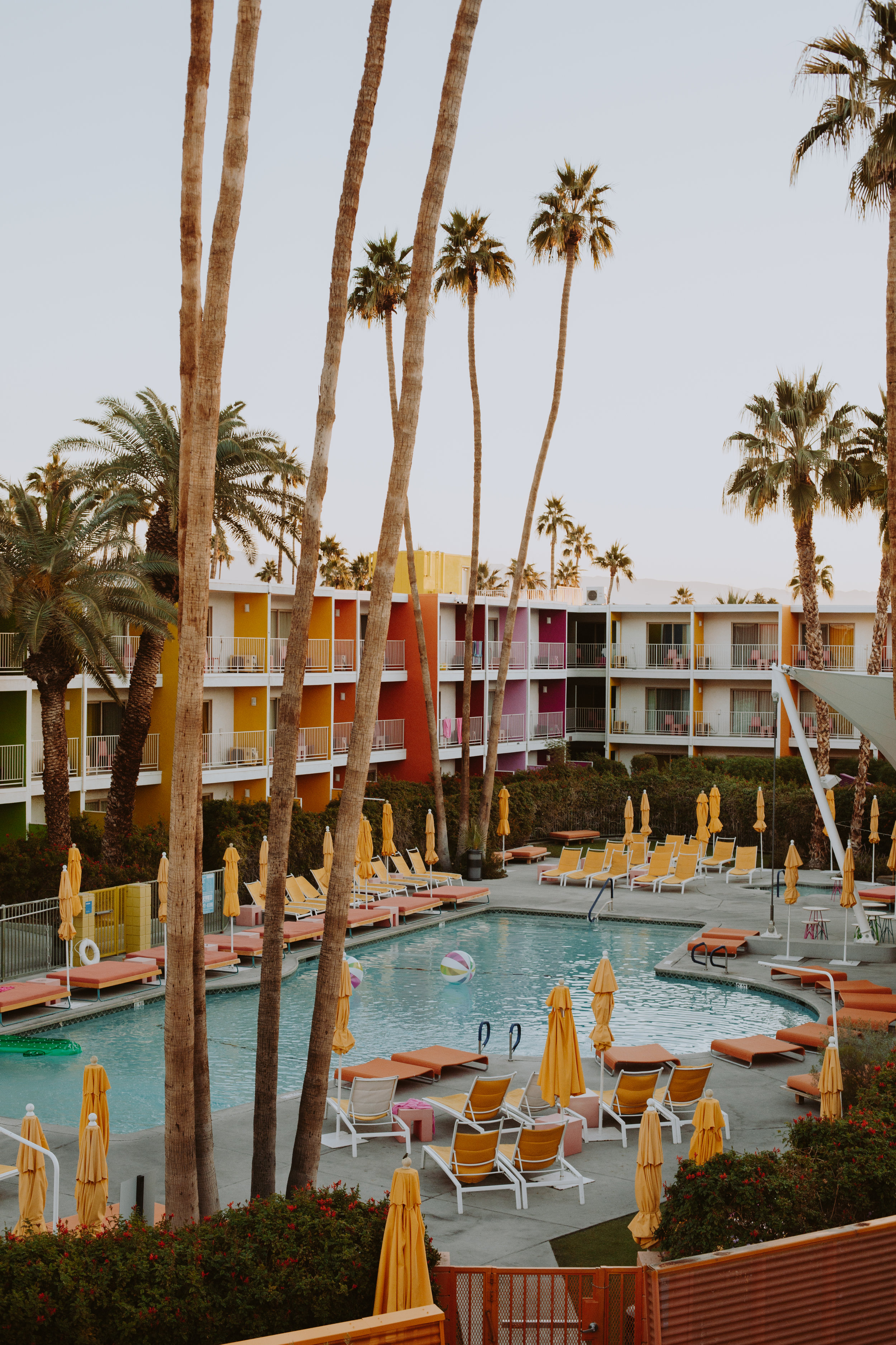 SAGUARO-4.jpg
