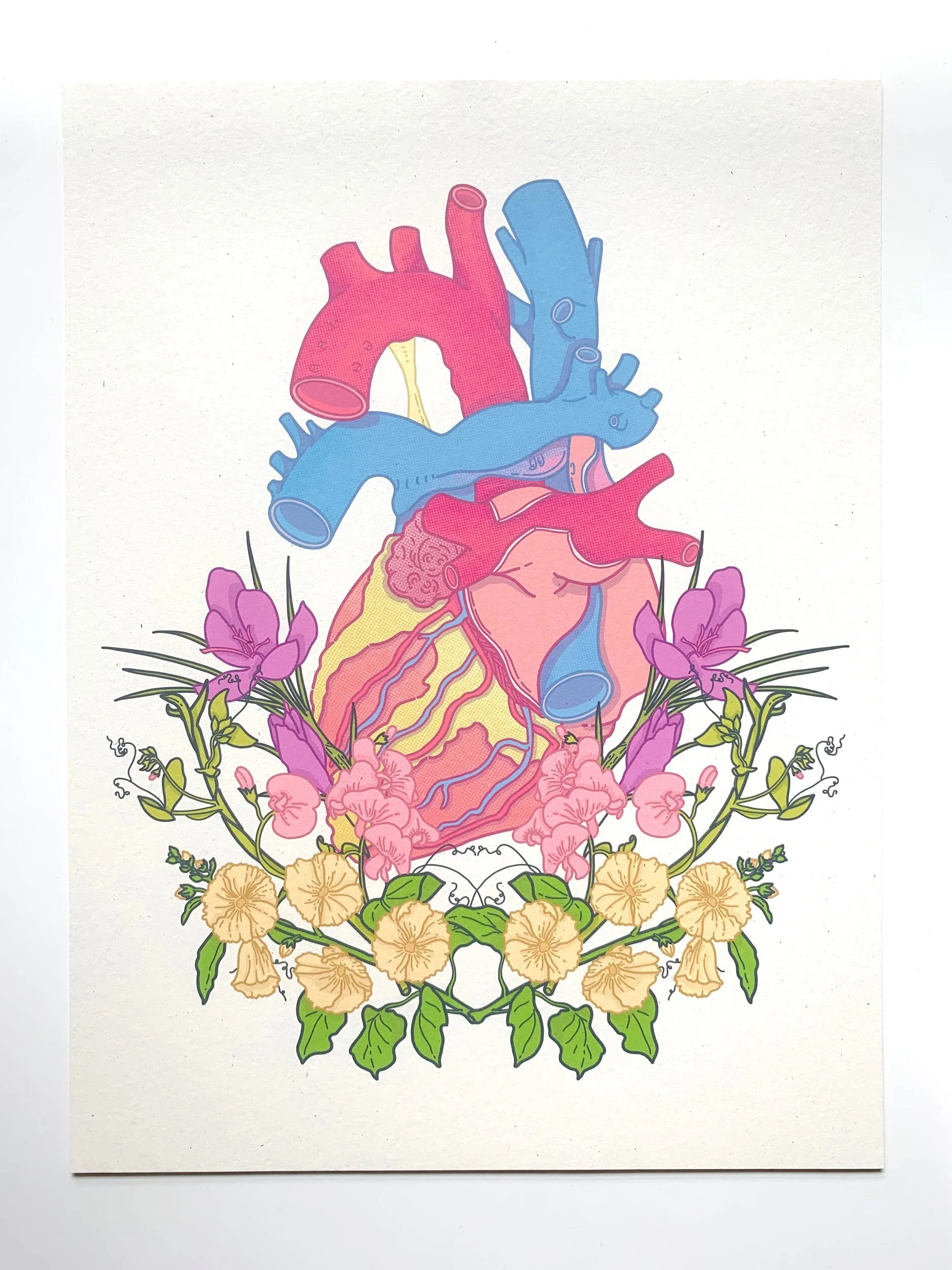 E4A71E53-C72A-4E5F-8E6D-358C76C8F9D6