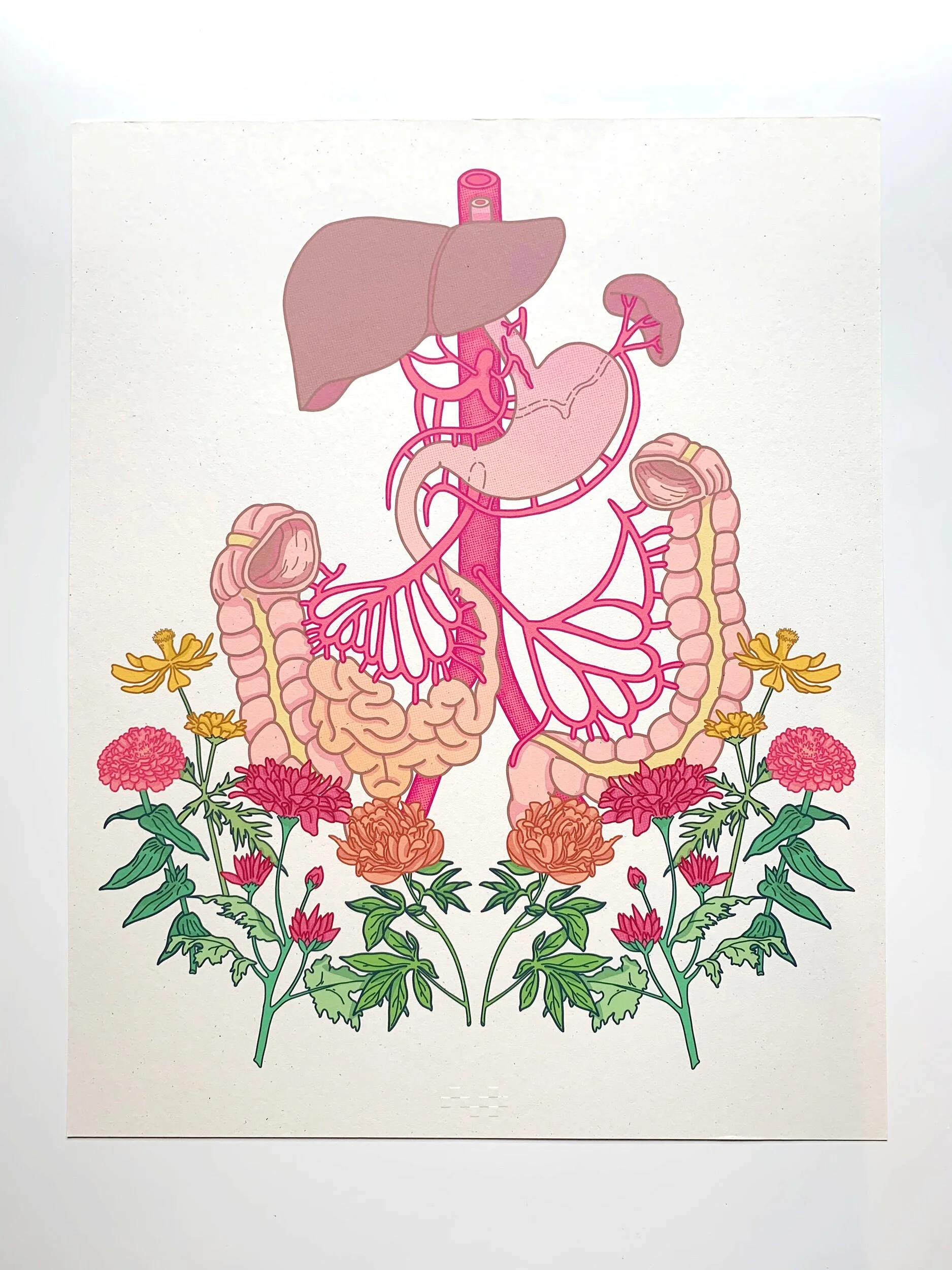 723FAC89-0744-4A38-B072-354FC8355050