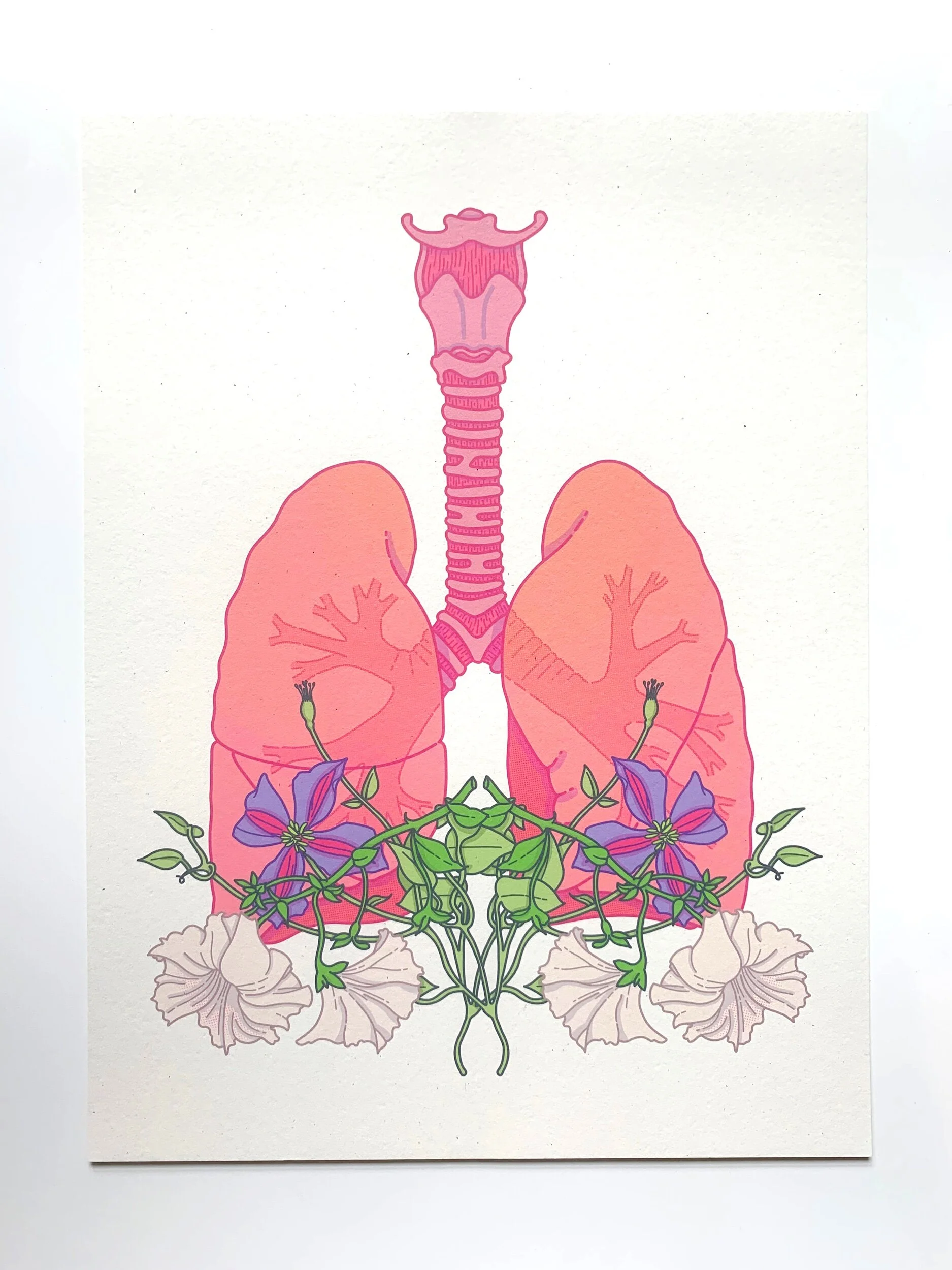 199339B3-DBE0-4017-8CB0-06283B9D3269