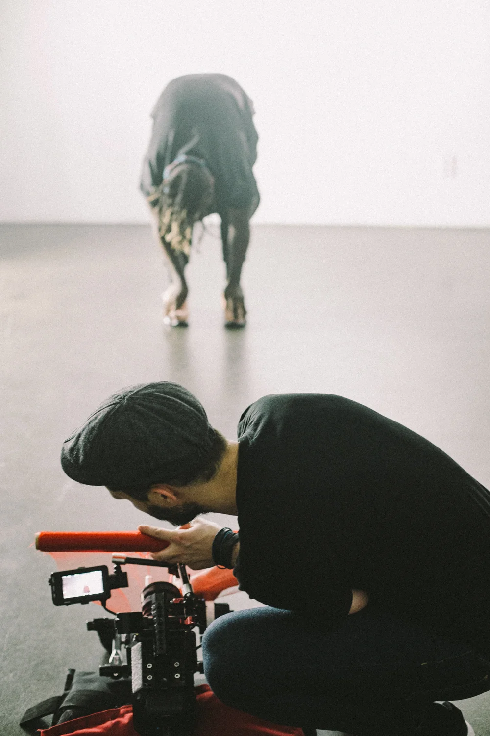 Set Circles_Akia Shoot-9.jpg
