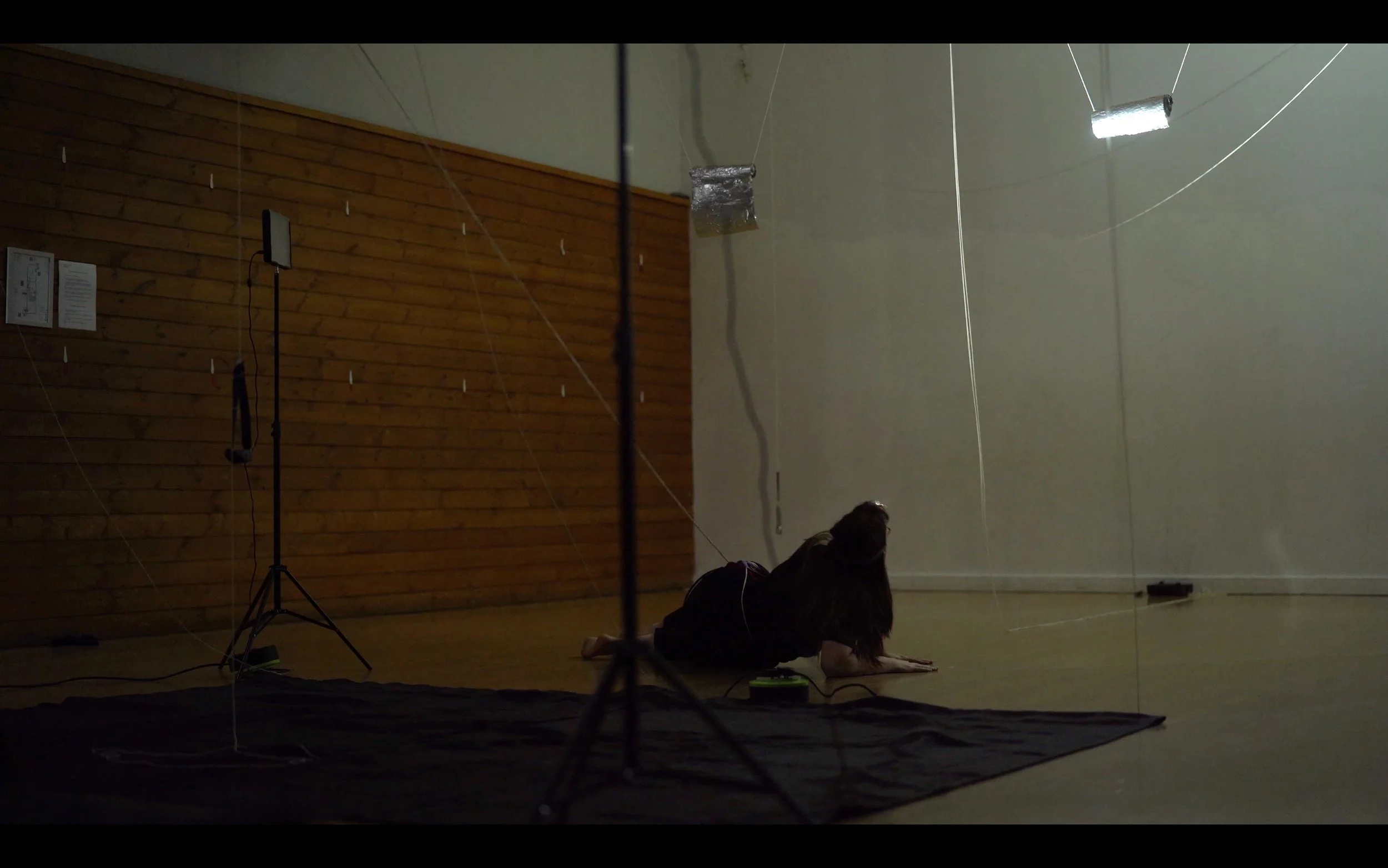 Eleanor Sikorski_New work_7.jpeg