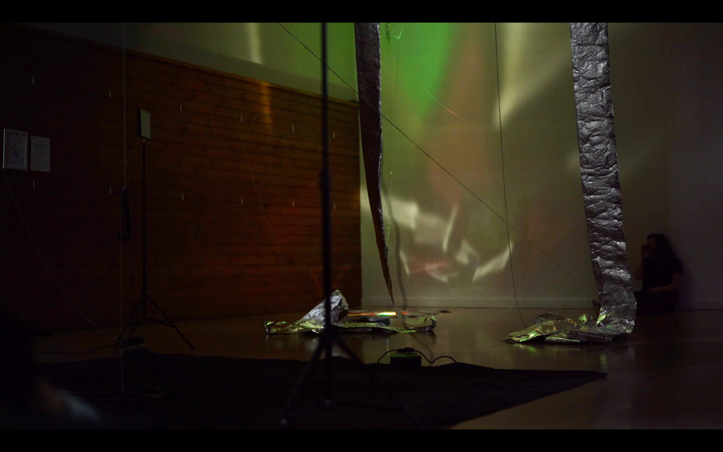 Eleanor Sikorski_New work_12.jpeg