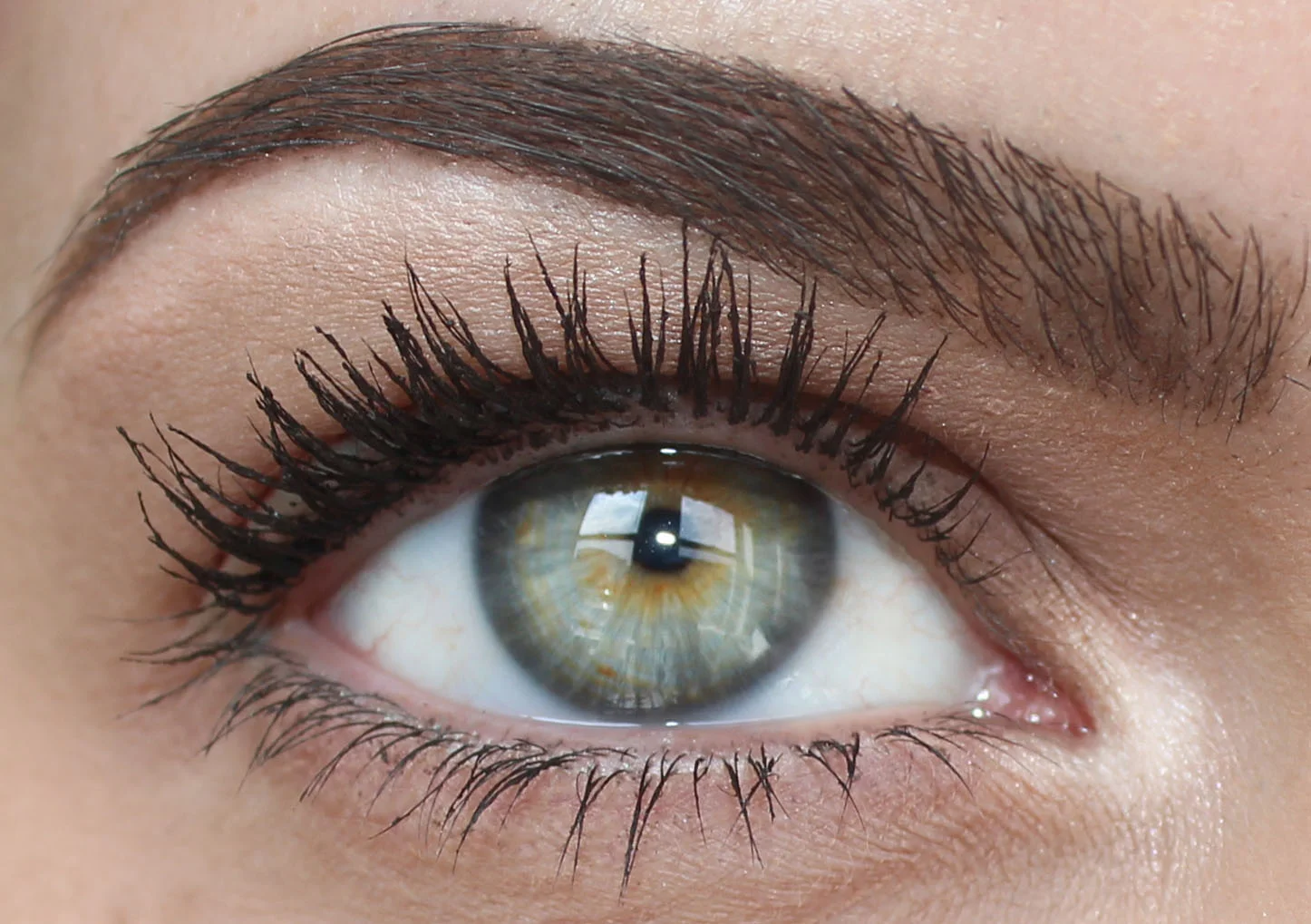 Looking up- another view of the lashes