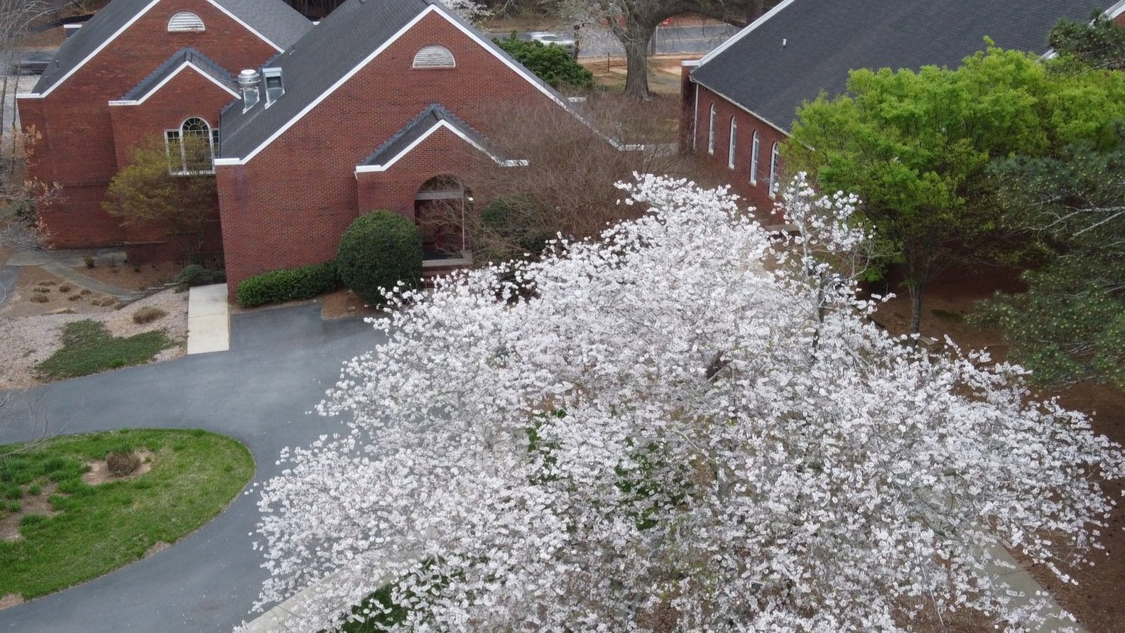 Spring+Photo+2023.jpg