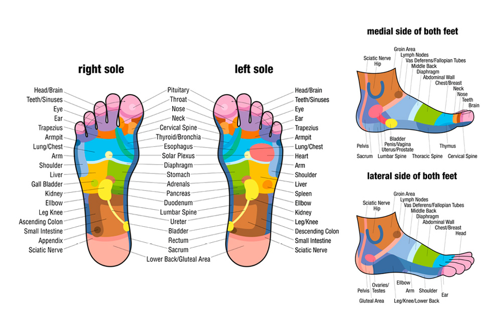 Ankle Reflexology Chart