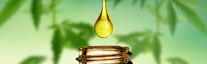 cbd_serv2_800x250.jpg