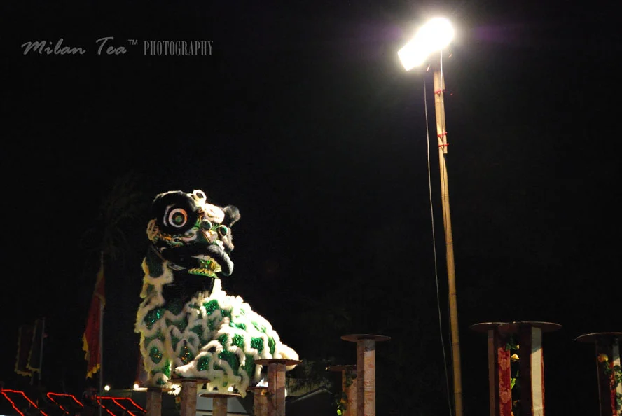 liondance
