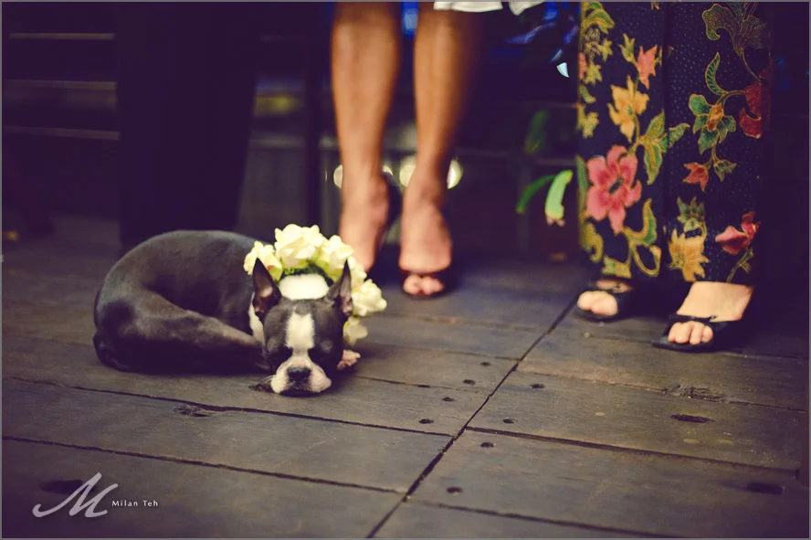 Penang_Wedding_Malihom_075.jpg